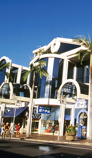 Paradise Avenue